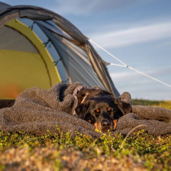 Canelana Cave Varmepose i ull til hund - Bilde 4