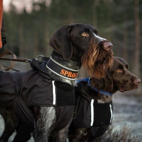 Canelana Touring Aktivitetsdekken Hundedekken Ull - Bilde 6