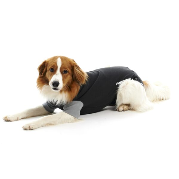 BUSTER Body Suit Classic til hund