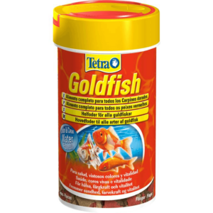 Tetra Goldfish