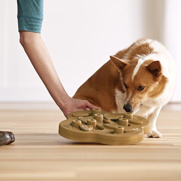 Nina Ottosson Dog Hide og Slide Composite Natural Aktivitetsleke