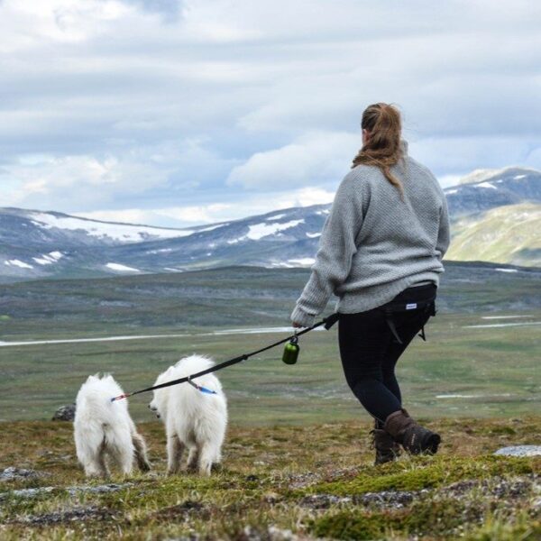 Baggen Softbelt Race X2 grå