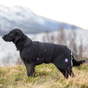 Canelana Ambassadør Ulldekken Hund