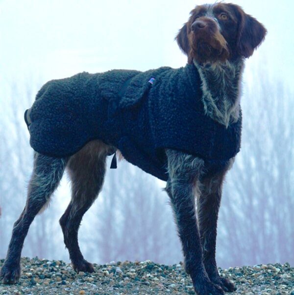 Canelana Ambassadør Ulldekken Hund