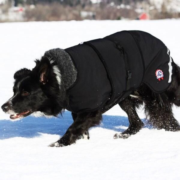 Canelana Ulldekken Thermo Vinterdekken Hund Grønn