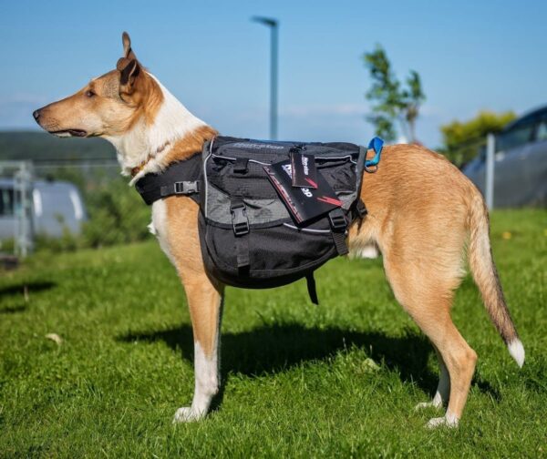 Non-Stop Dogwear Amundsen Kløv til hund