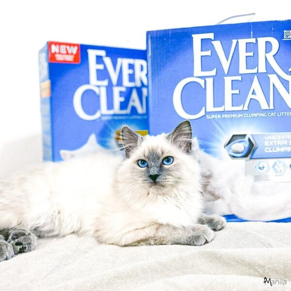 Ever Clean Extra Strong Clumping Unscented Kattesand 10 L