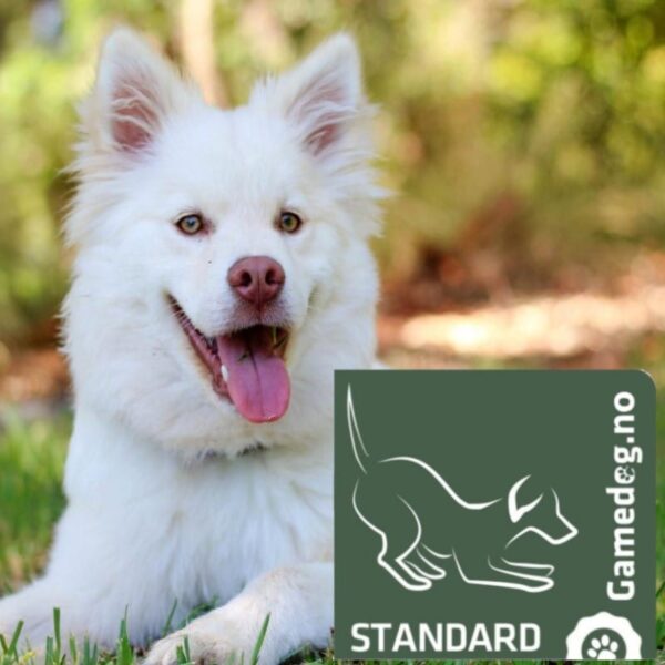 Gamedog Standard