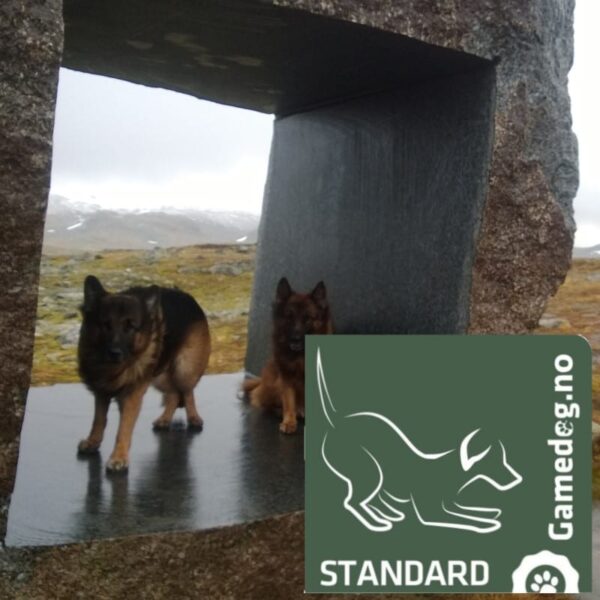 Gamedog Standard