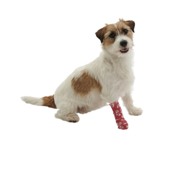 Pet Flex Chew-stop Bandage