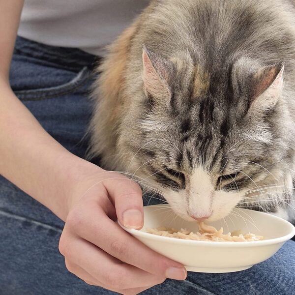 Pouches Inaba våtfòr katt Kylling og Tunfisk