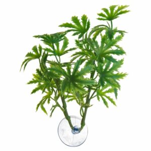 Zoo Med Betta Plant papaya
