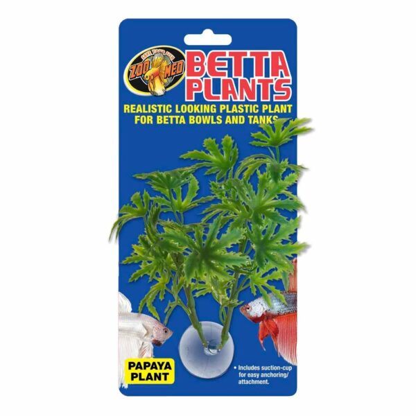 Zoo Med Betta Plant papaya