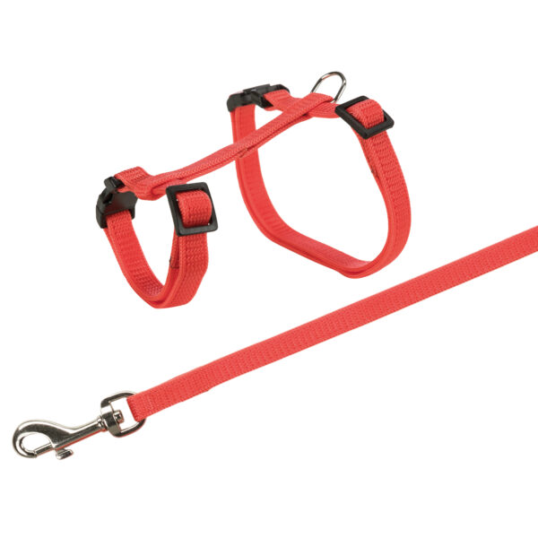 Kanin-marsvinsele nylon